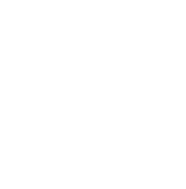 Logo de Peisci Motors